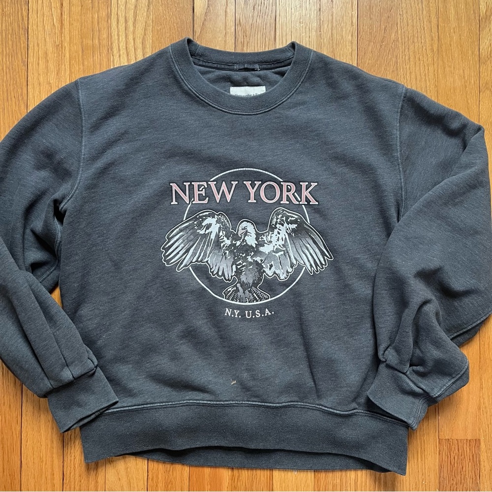 Abercrombie & Fitch sweatshirt